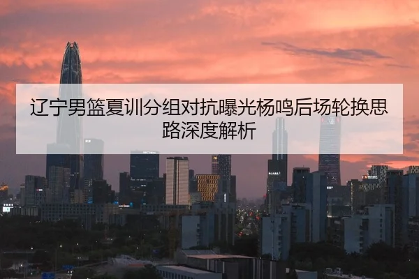 辽宁男篮夏训分组对抗曝光杨鸣后场轮换思路深度解析